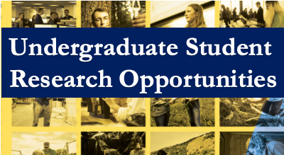 research opportunities for undergraduate students near me